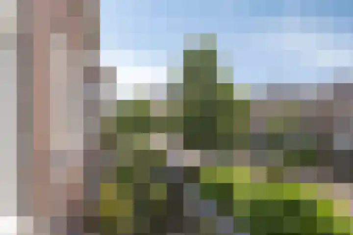 Raapopseweg 46 Arnhem thumbnail 10
