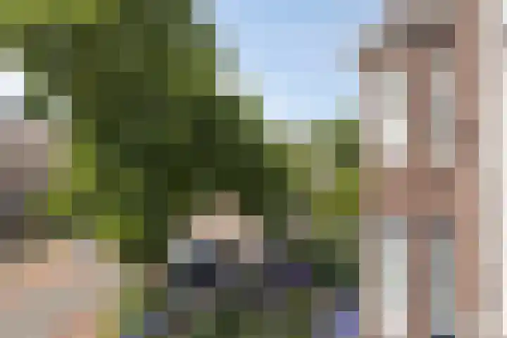 Raapopseweg 46 Arnhem thumbnail 11