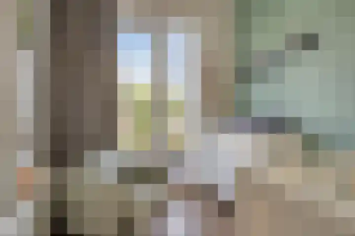 Raapopseweg 46 Arnhem thumbnail 30