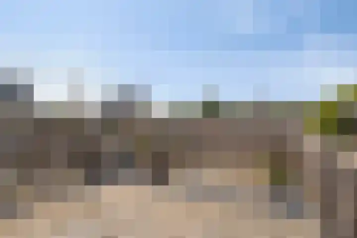 Raapopseweg 46 Arnhem thumbnail 41