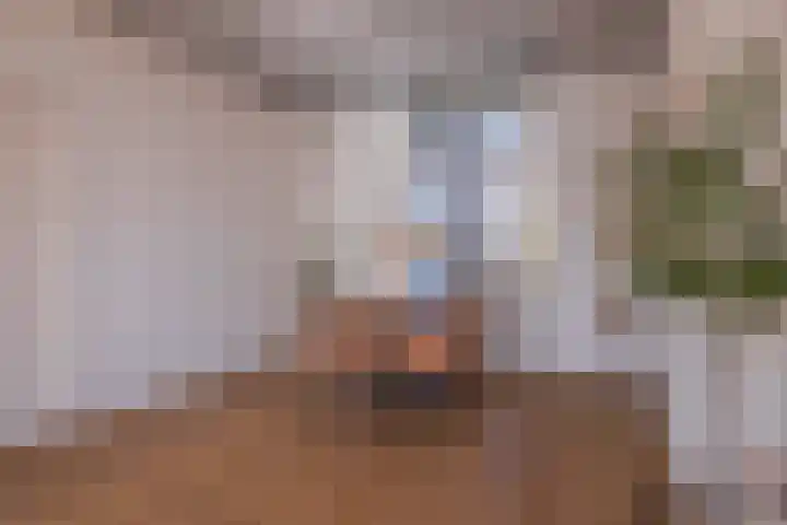 Raapopseweg 78 Arnhem thumbnail 10