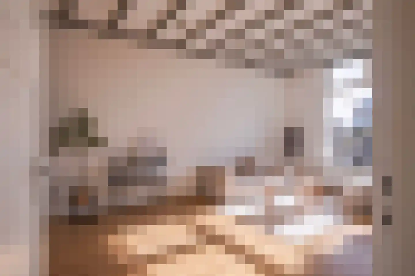 Raapopseweg 78 Arnhem thumbnail 4