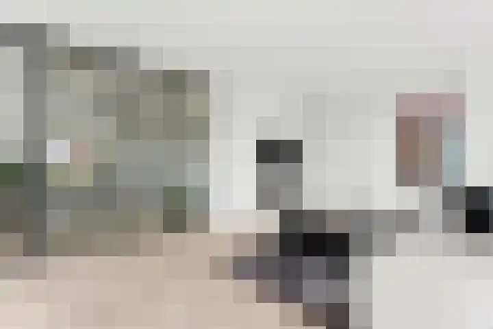 Raapzaadhof 1 Alblasserdam thumbnail 16