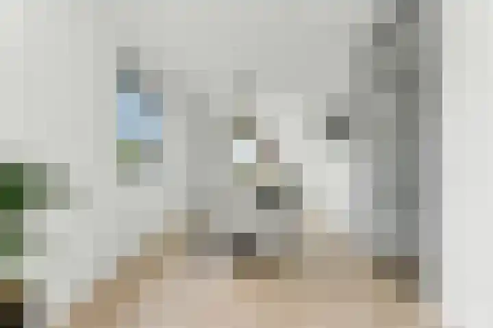 Raapzaadhof 1 Alblasserdam thumbnail 19