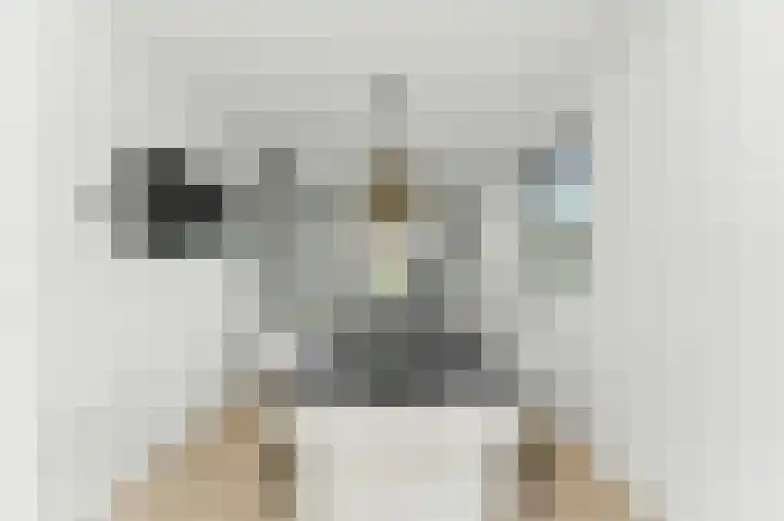 Raapzaadhof 1 Alblasserdam thumbnail 20