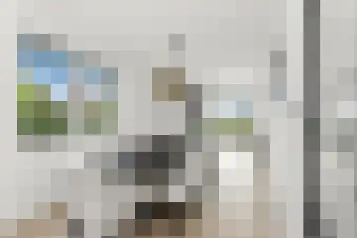Raapzaadhof 1 Alblasserdam thumbnail 21