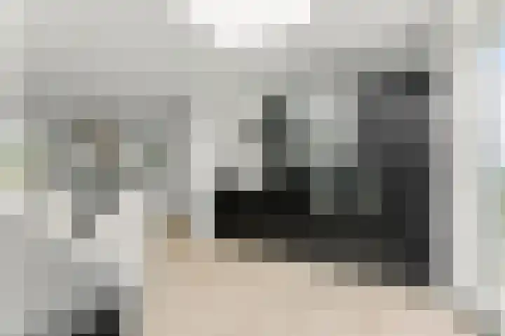 Raapzaadhof 1 Alblasserdam thumbnail 27