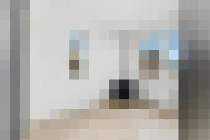 Raapzaadhof 1 Alblasserdam thumbnail 32