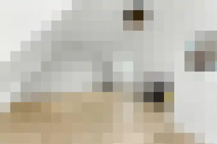 Raapzaadhof 1 Alblasserdam thumbnail 44