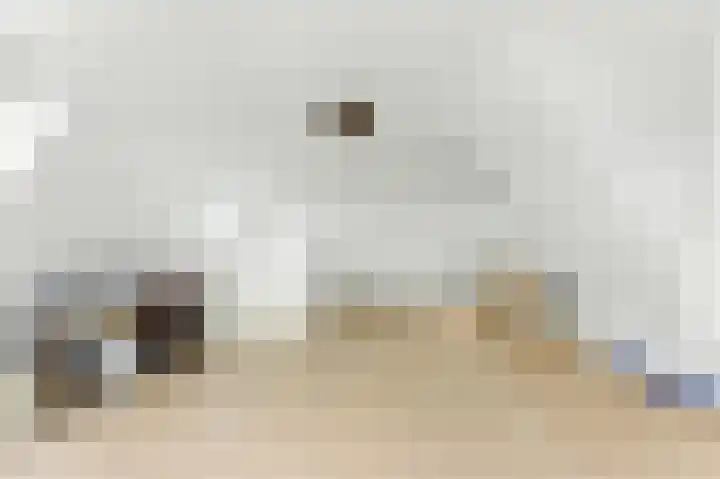 Raapzaadhof 1 Alblasserdam thumbnail 45