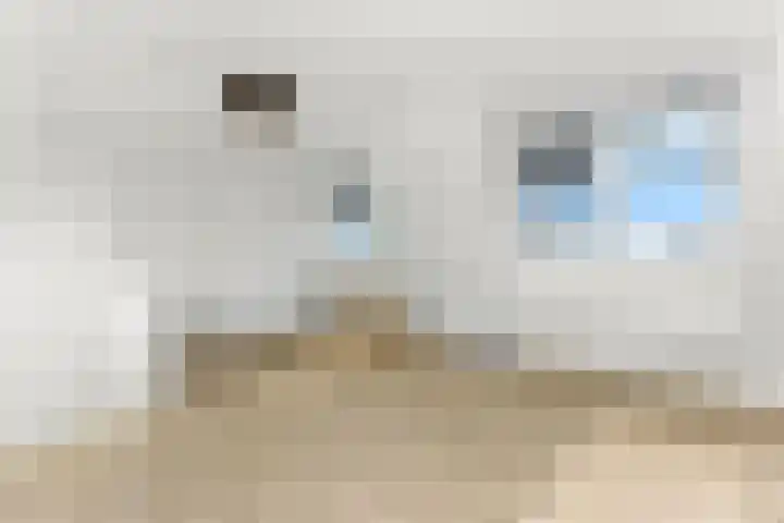 Raapzaadhof 1 Alblasserdam thumbnail 46