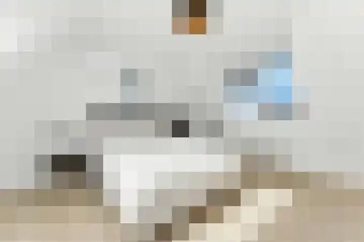 Raapzaadhof 1 Alblasserdam thumbnail 48