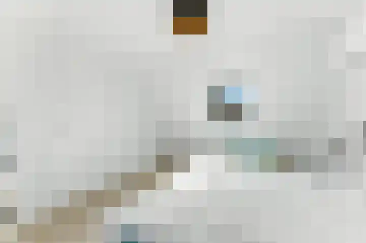 Raapzaadhof 1 Alblasserdam thumbnail 49