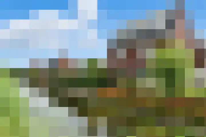 Raapzaadhof 1 Alblasserdam thumbnail 50