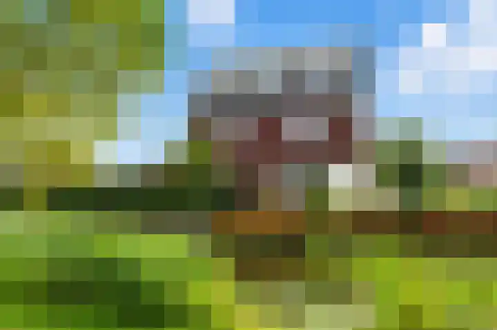 Raapzaadhof 1 Alblasserdam thumbnail 51