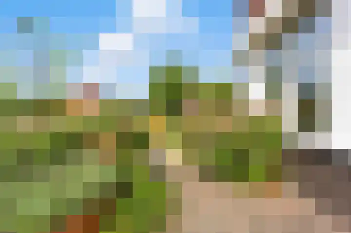 Raapzaadhof 1 Alblasserdam thumbnail 53