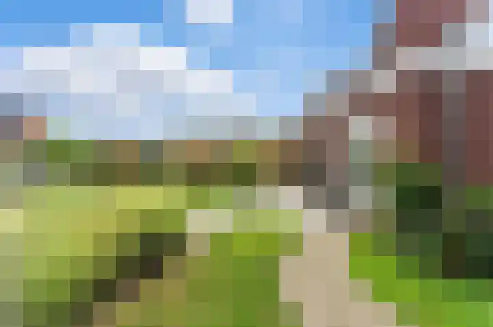 Raapzaadhof 1 Alblasserdam thumbnail 56