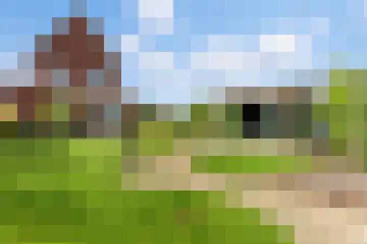 Raapzaadhof 1 Alblasserdam thumbnail 58