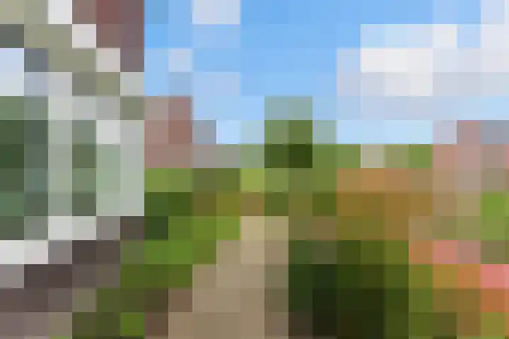 Raapzaadhof 1 Alblasserdam thumbnail 6