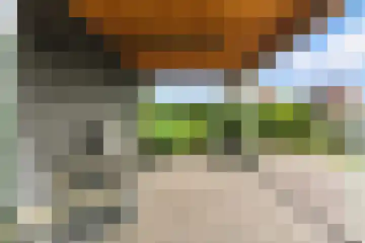 Raapzaadhof 1 Alblasserdam thumbnail 60