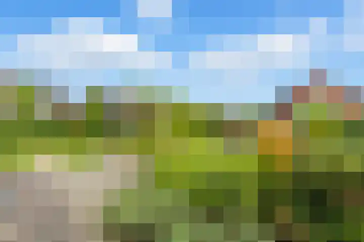 Raapzaadhof 1 Alblasserdam thumbnail 63