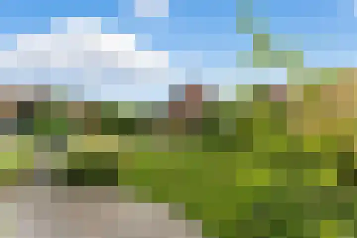 Raapzaadhof 1 Alblasserdam thumbnail 64