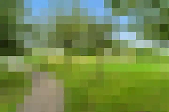 Raapzaadhof 1 Alblasserdam thumbnail 67