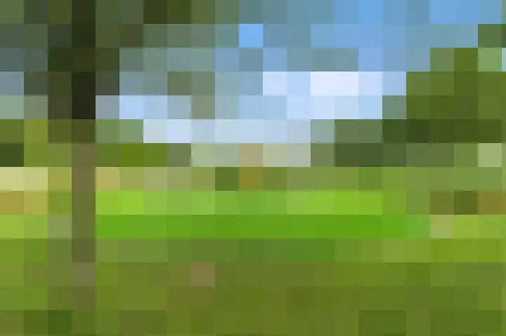 Raapzaadhof 1 Alblasserdam thumbnail 68