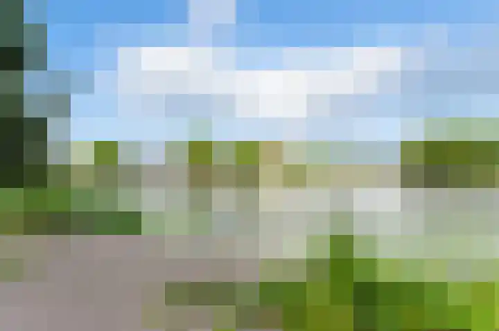 Raapzaadhof 1 Alblasserdam thumbnail 69