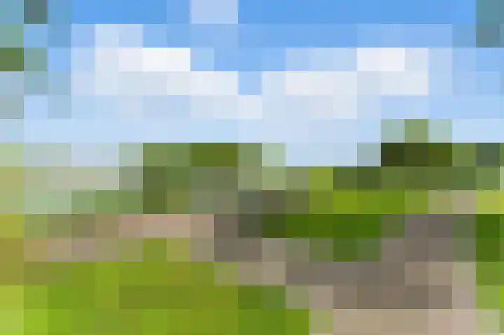 Raapzaadhof 1 Alblasserdam thumbnail 70