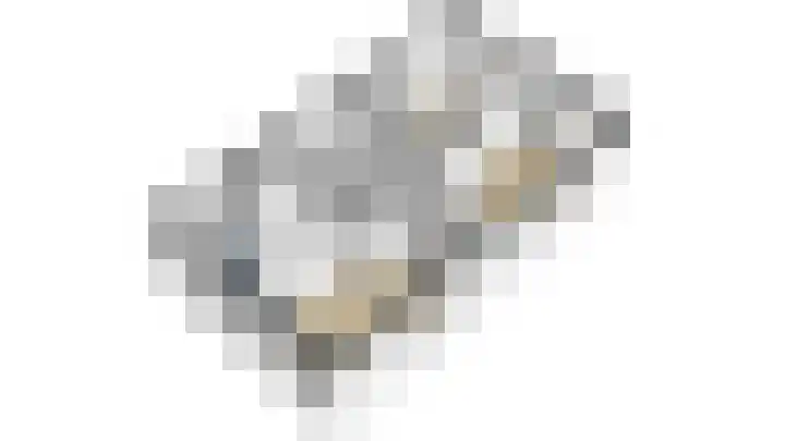 Raapzaadhof 1 Alblasserdam thumbnail 74