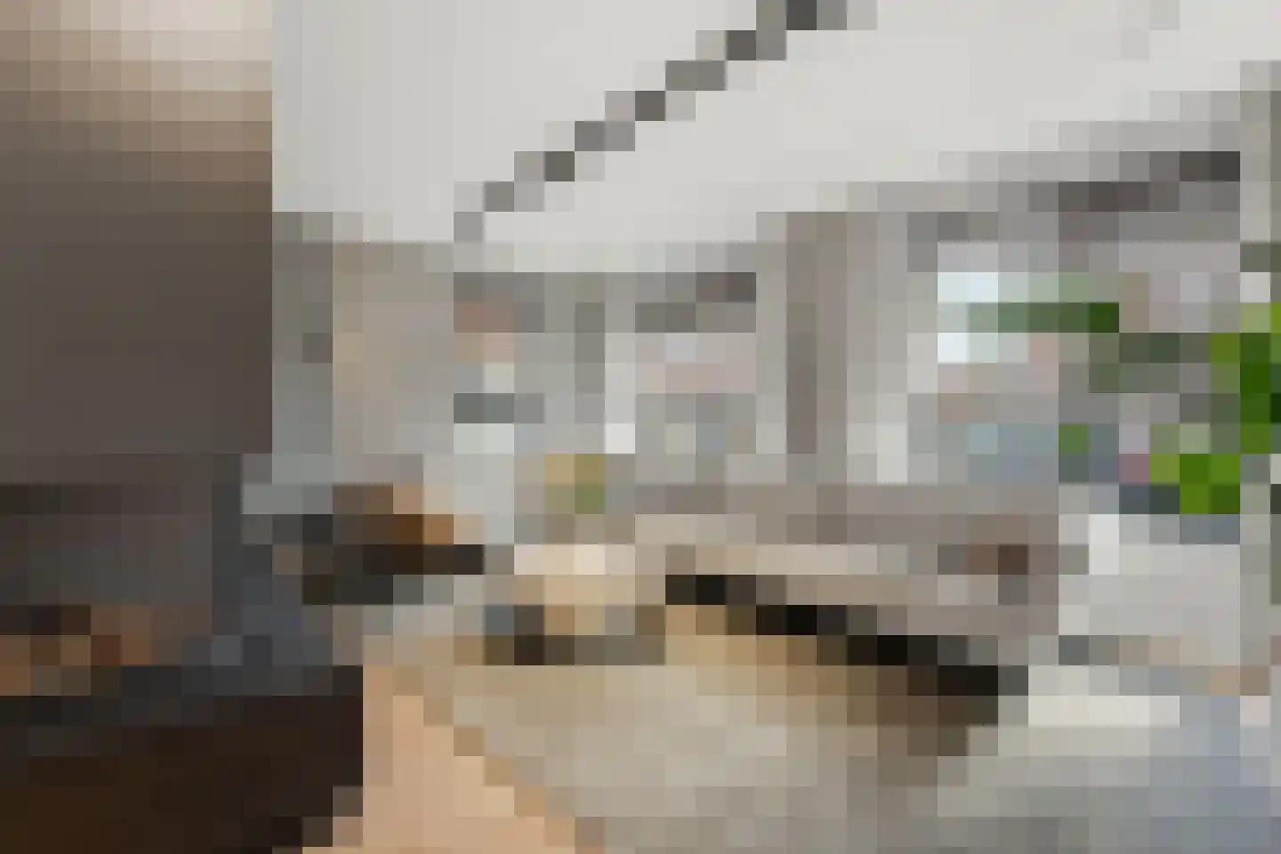 Raapzaadhof 2 A Alblasserdam thumbnail 10