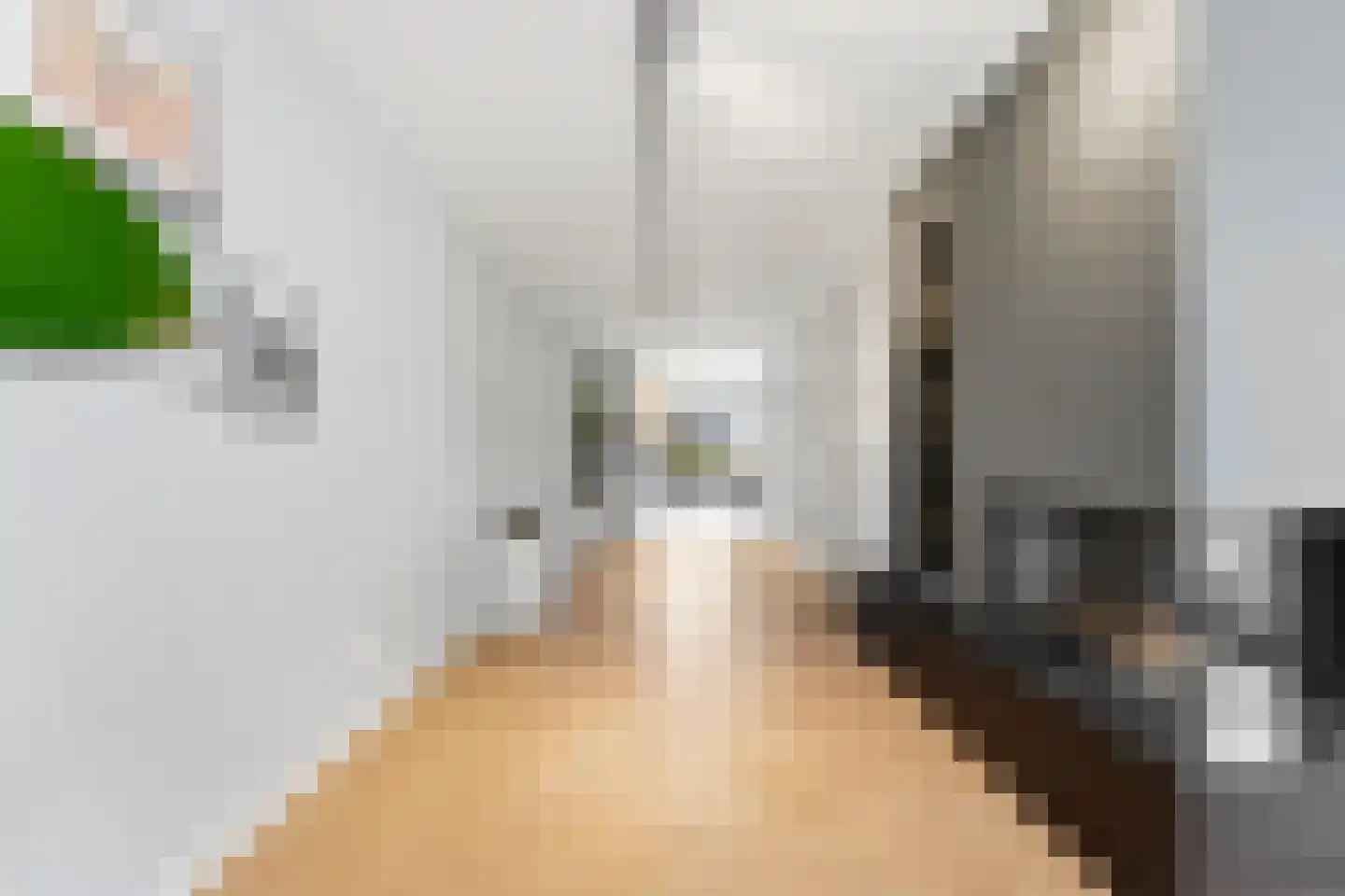 Raapzaadhof 2 A Alblasserdam thumbnail 15