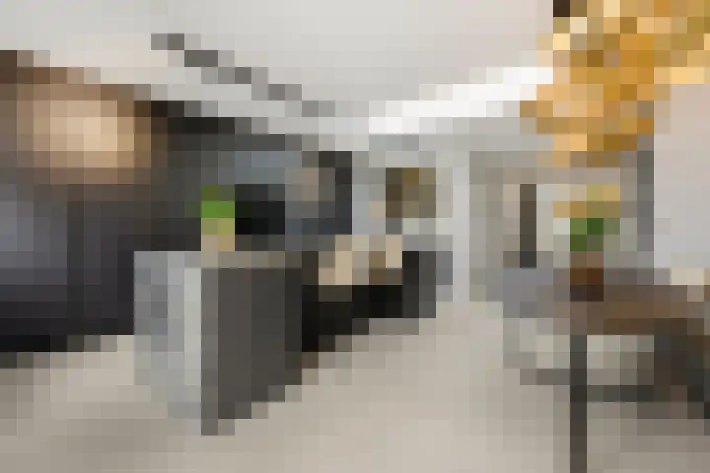 Raapzaadhof 2 A Alblasserdam thumbnail 16