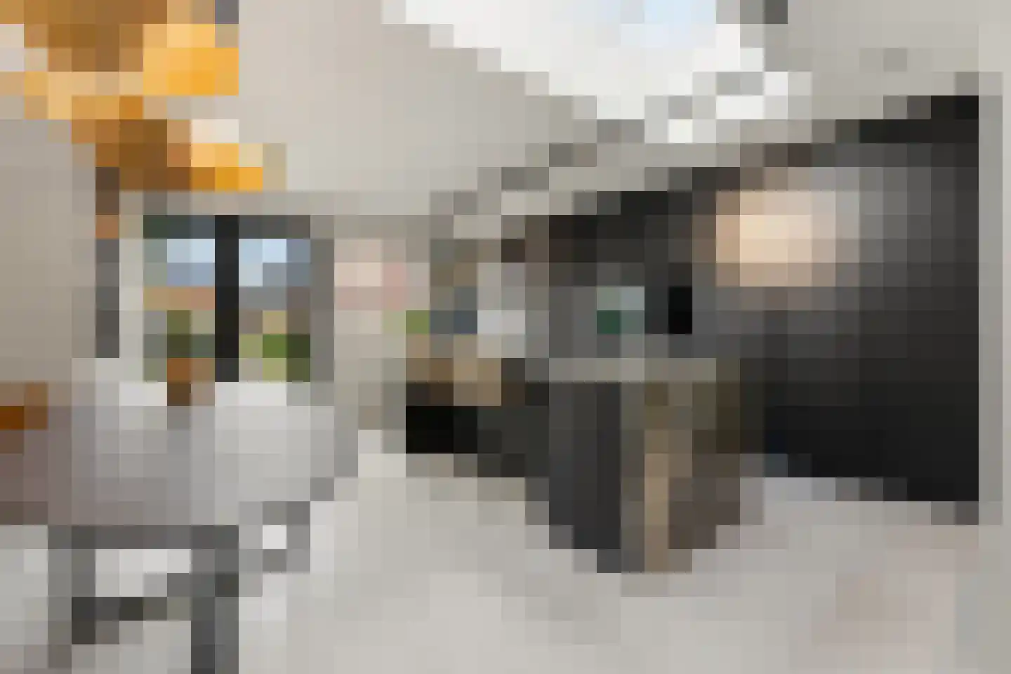 Raapzaadhof 2 A Alblasserdam thumbnail 17