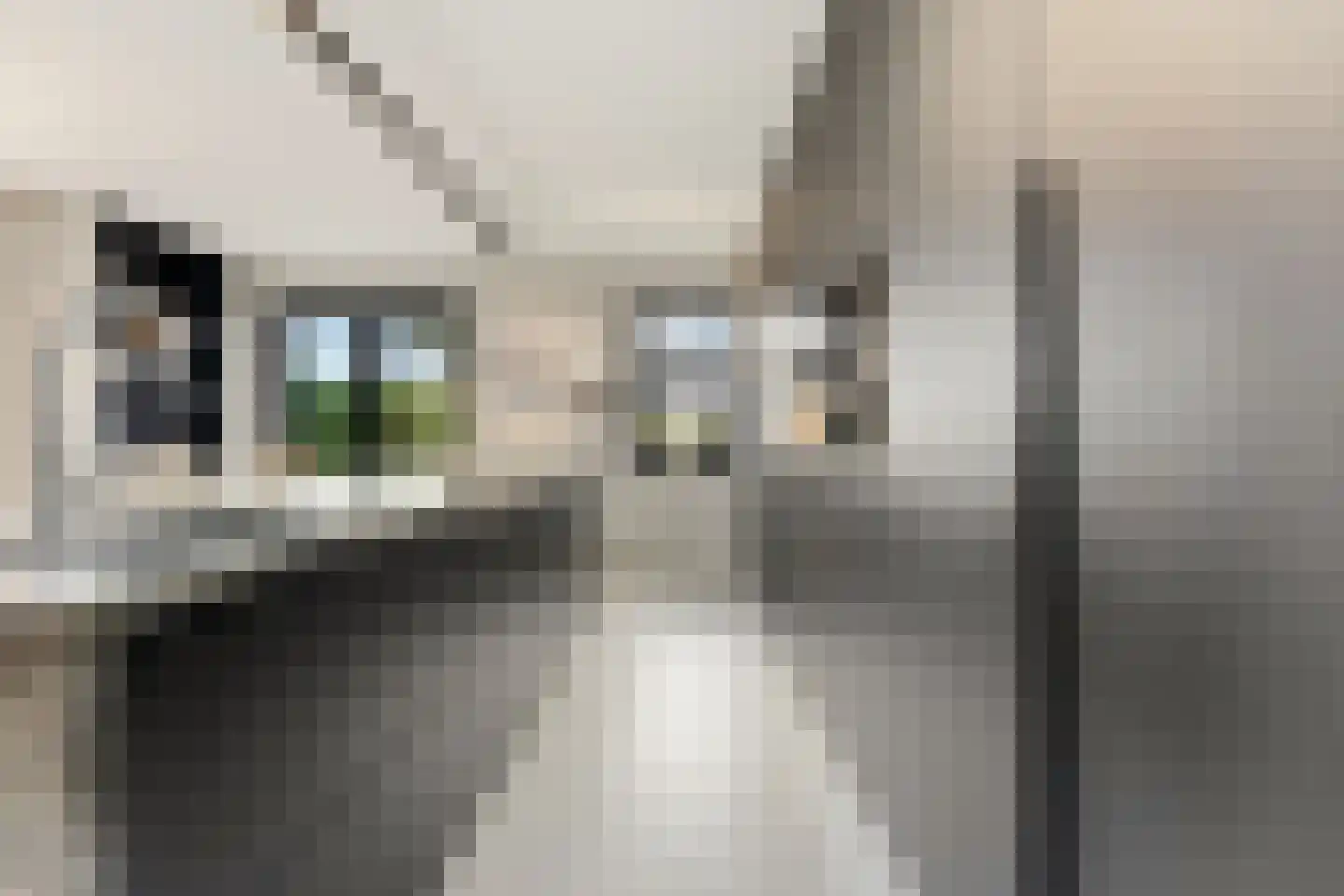 Raapzaadhof 2 A Alblasserdam thumbnail 19