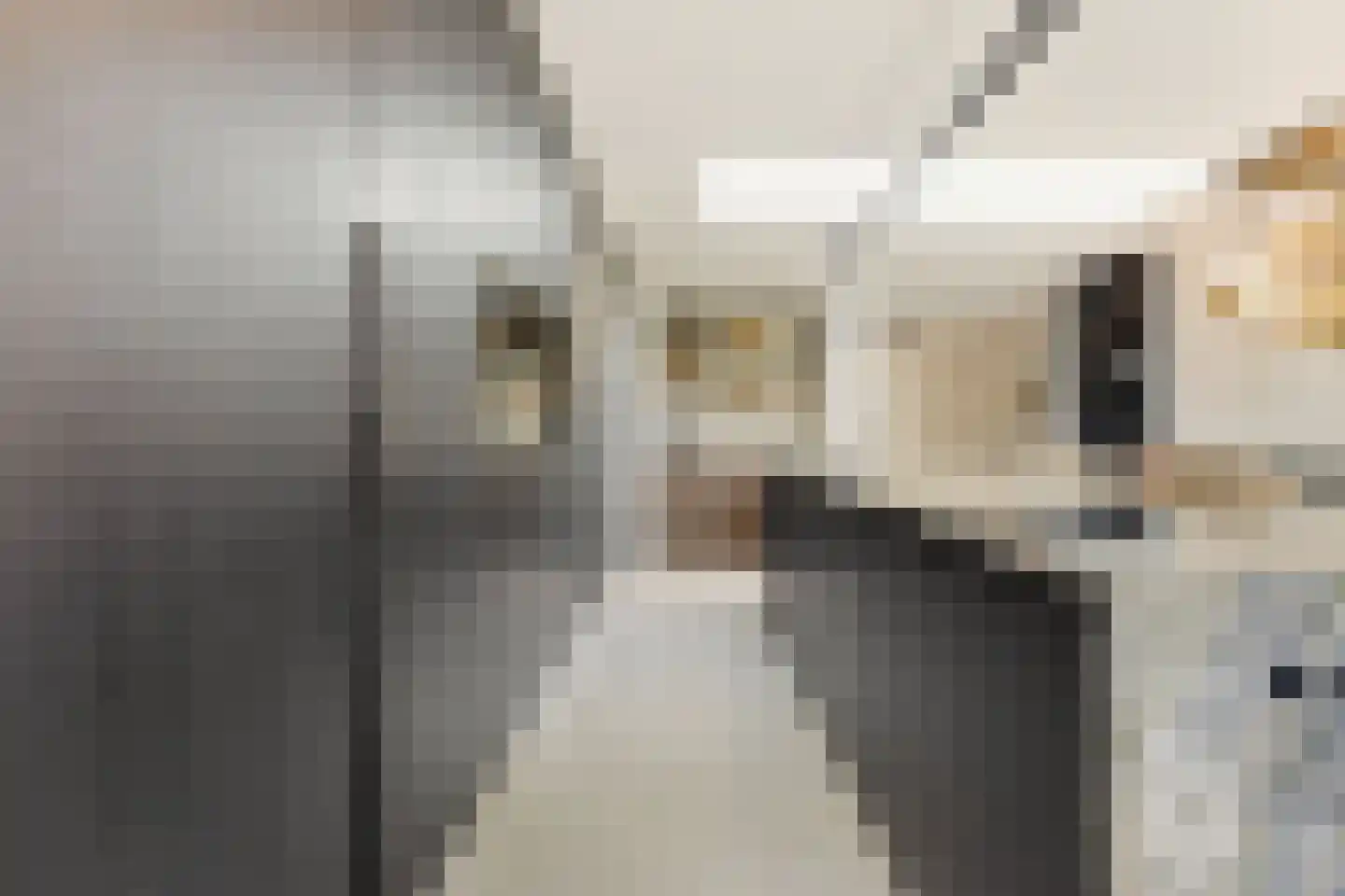 Raapzaadhof 2 A Alblasserdam thumbnail 21