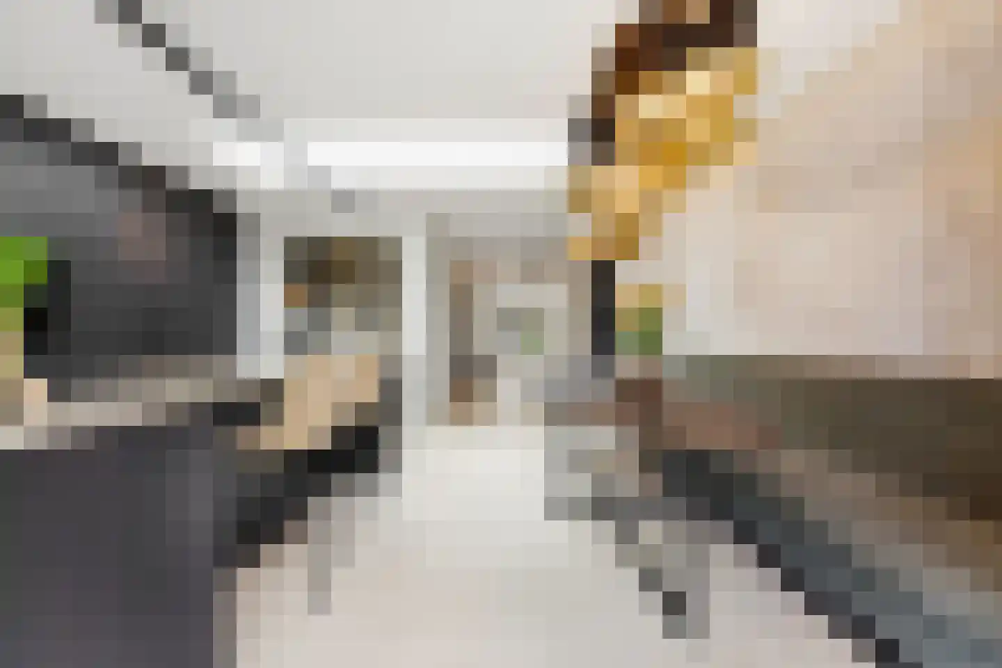 Raapzaadhof 2 A Alblasserdam thumbnail 24