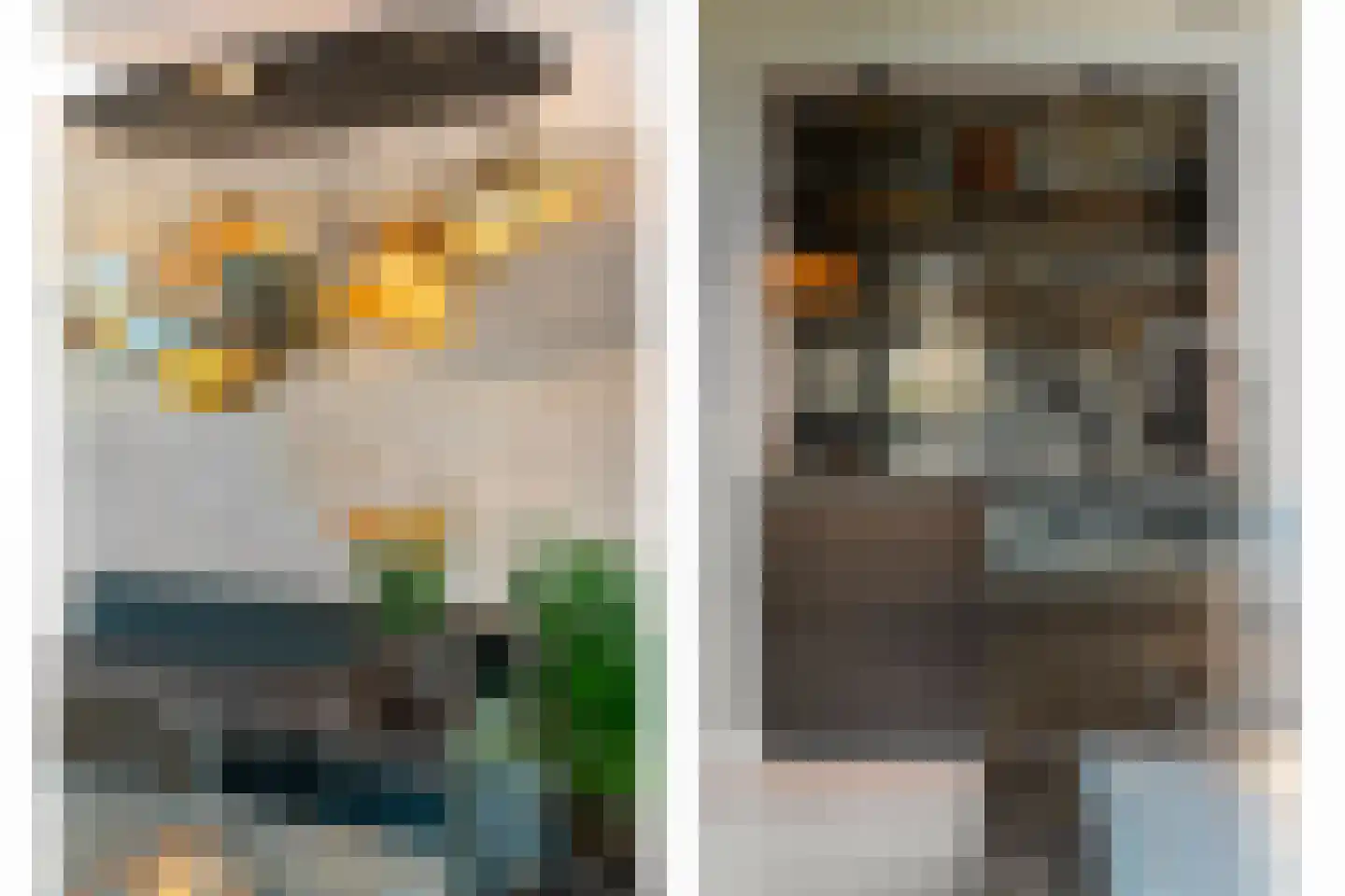 Raapzaadhof 2 A Alblasserdam thumbnail 25