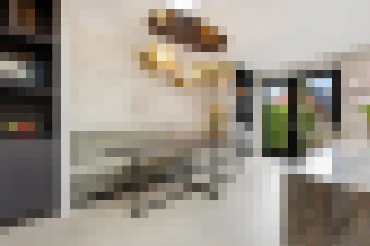 Raapzaadhof 2 A Alblasserdam thumbnail 26