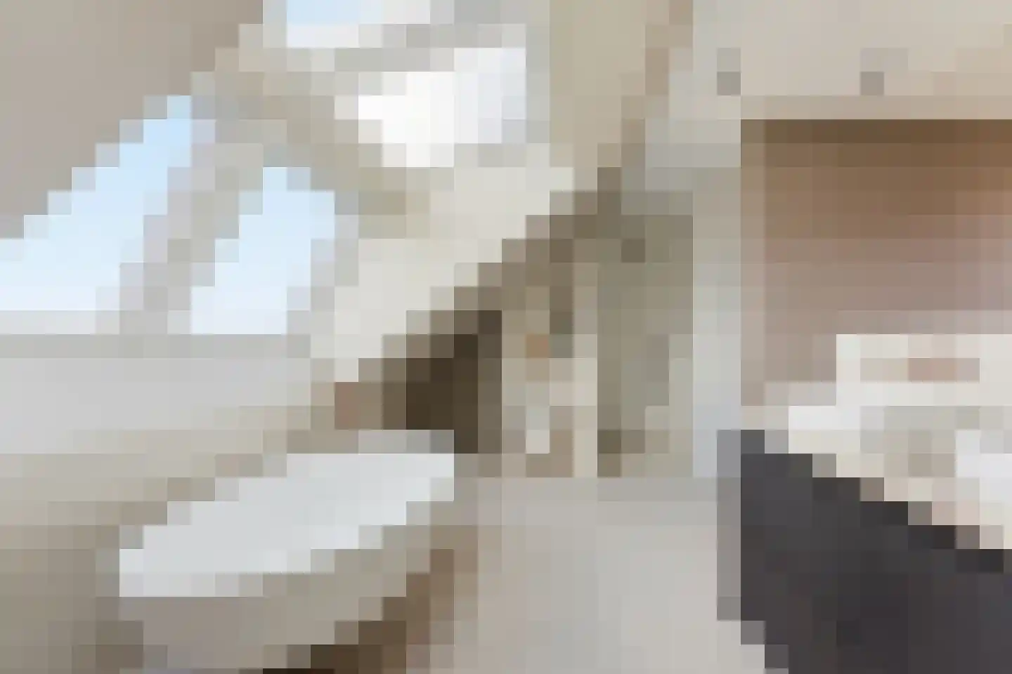 Raapzaadhof 2 A Alblasserdam thumbnail 49