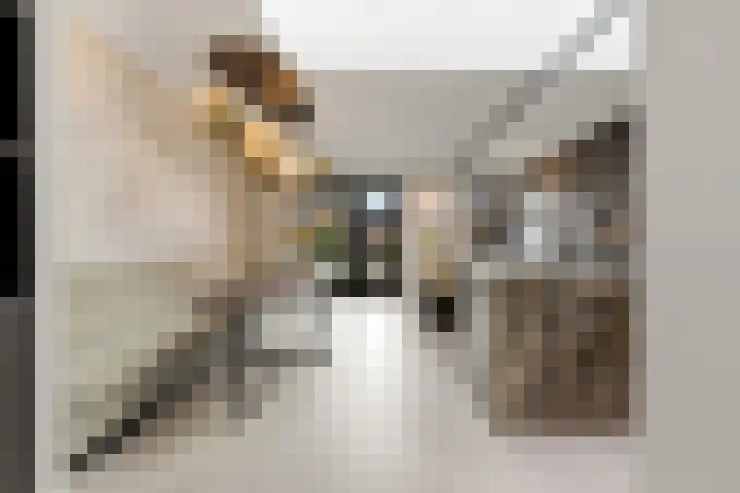 Raapzaadhof 2 A Alblasserdam thumbnail 5