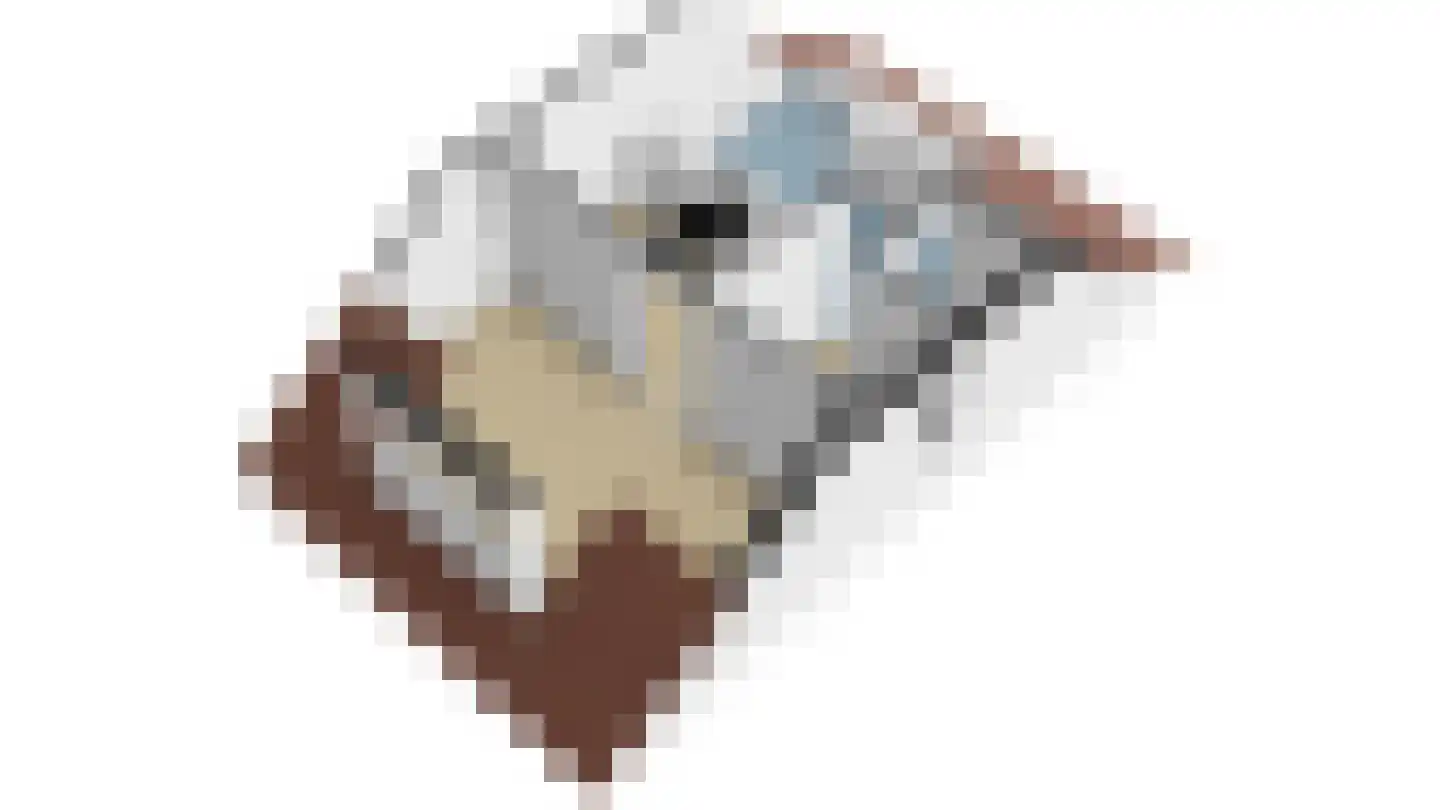 Raapzaadhof 2 A Alblasserdam thumbnail 73