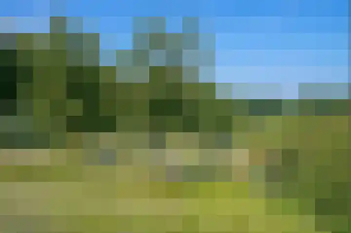 Raar 49 b Meerssen thumbnail 31