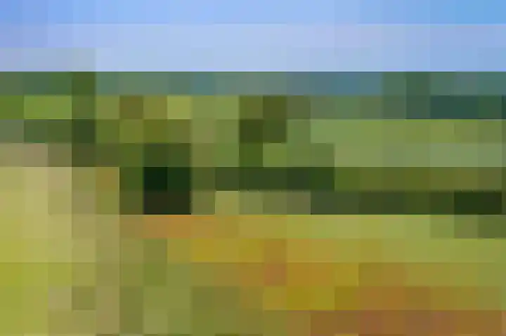 Raar 49 b Meerssen thumbnail 33
