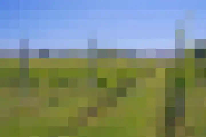 Raar 49 b Meerssen thumbnail 36