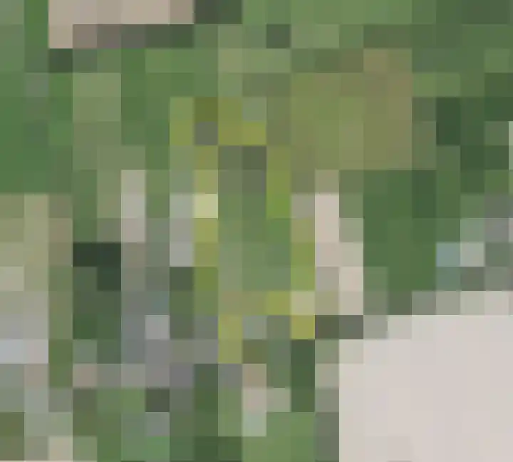 Raar 49 b Meerssen thumbnail 40
