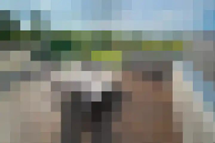 Raar 49 b Meerssen thumbnail 41