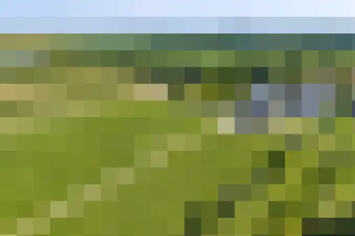 Raar 49 b Meerssen thumbnail 5