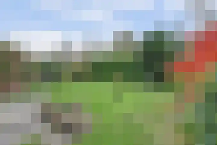 Raardaburren 2 Workum thumbnail 23